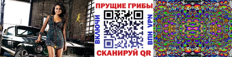 Галлюциногенные грибы мицелий  купить  цена  Ревда 
